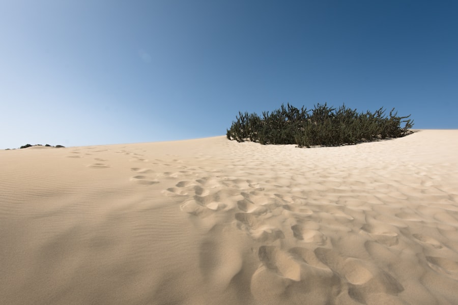 Dune cover