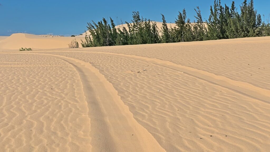 Photo Dune cover