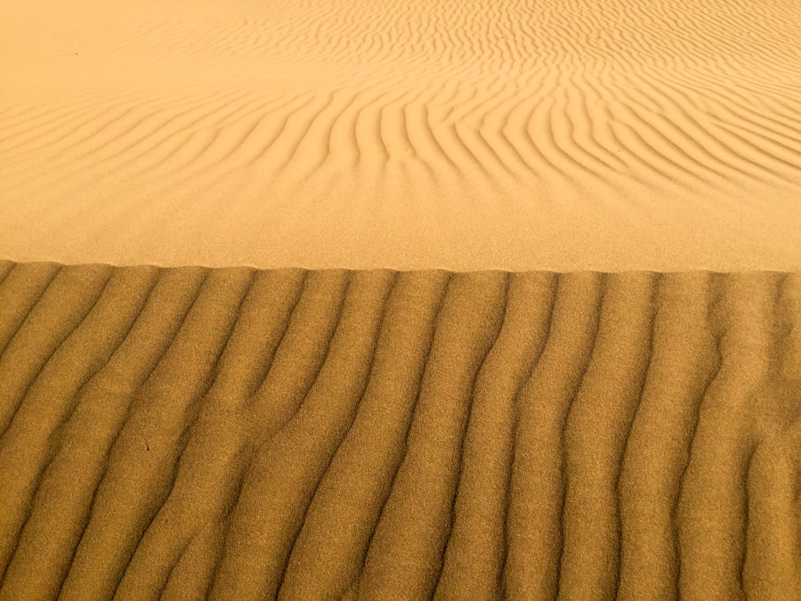 Photo Dune cover